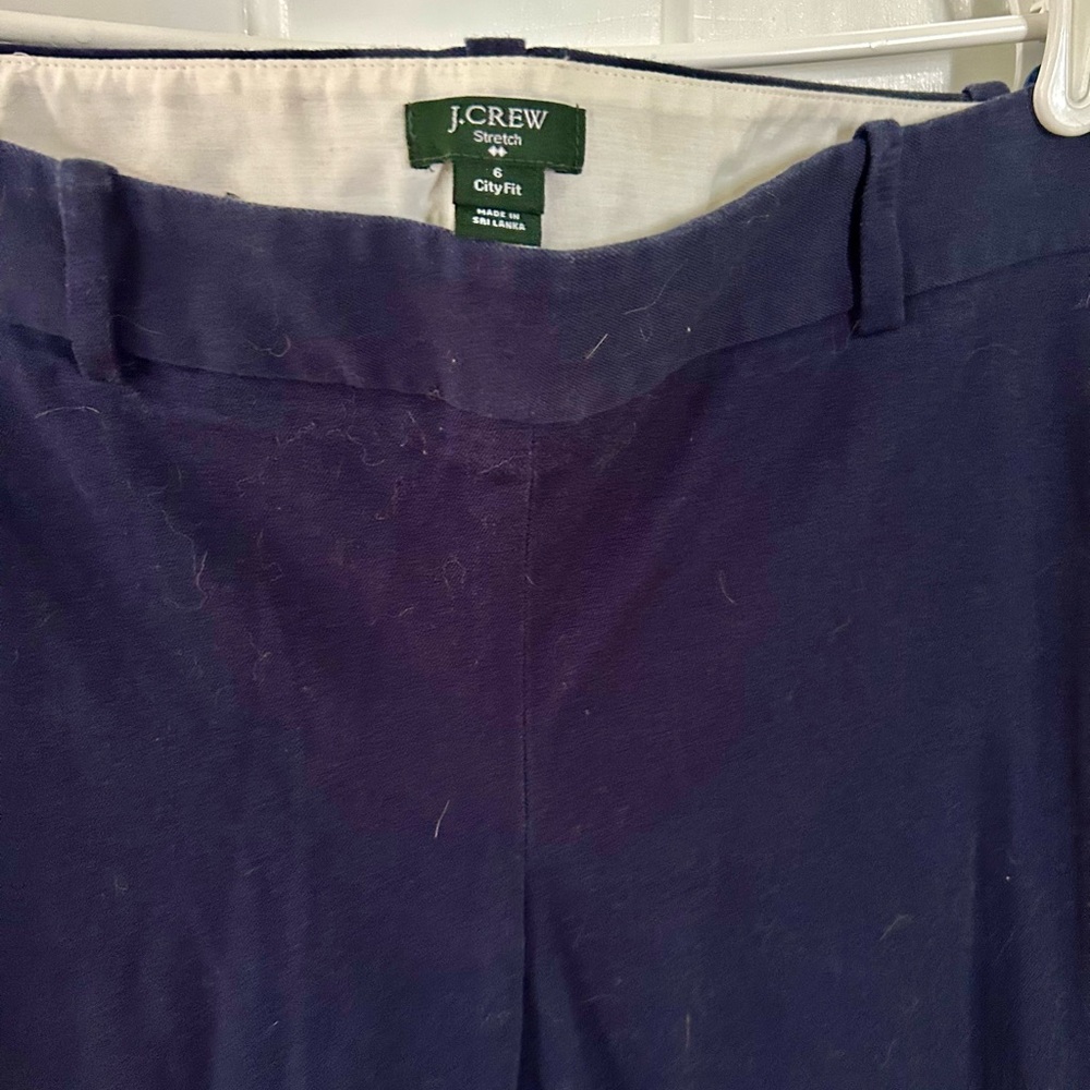 J. Crew Deep Blue Trousers